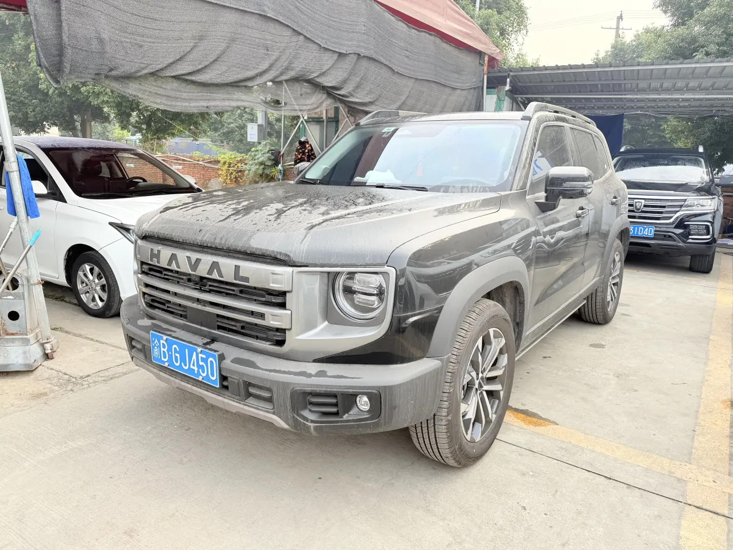 Haval Dargo