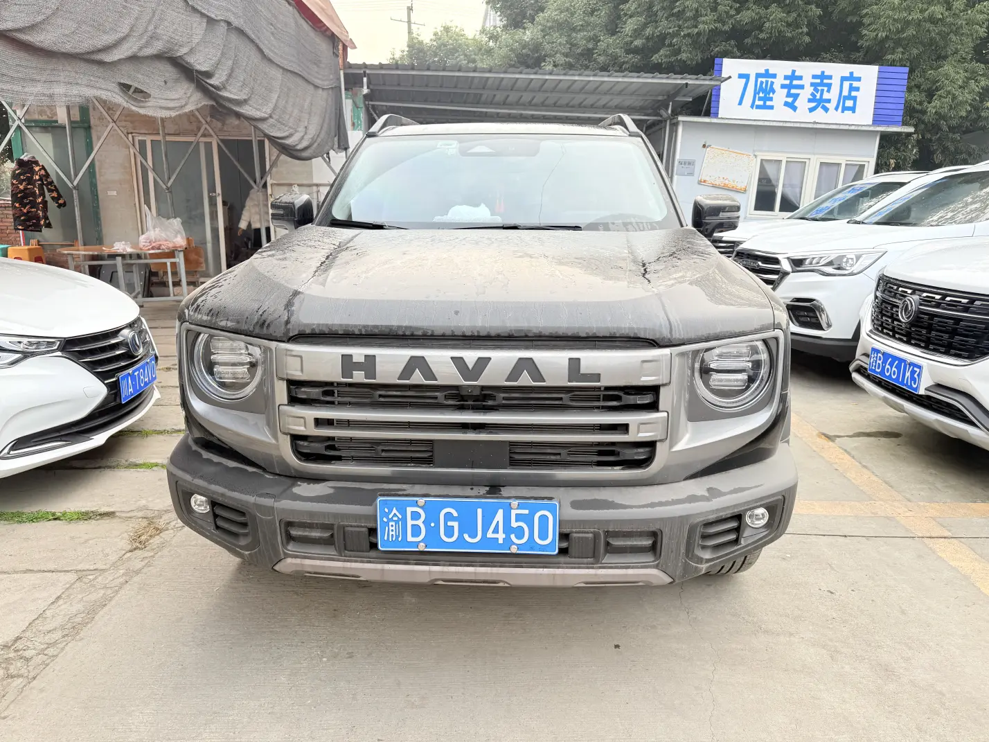 Haval Dargo