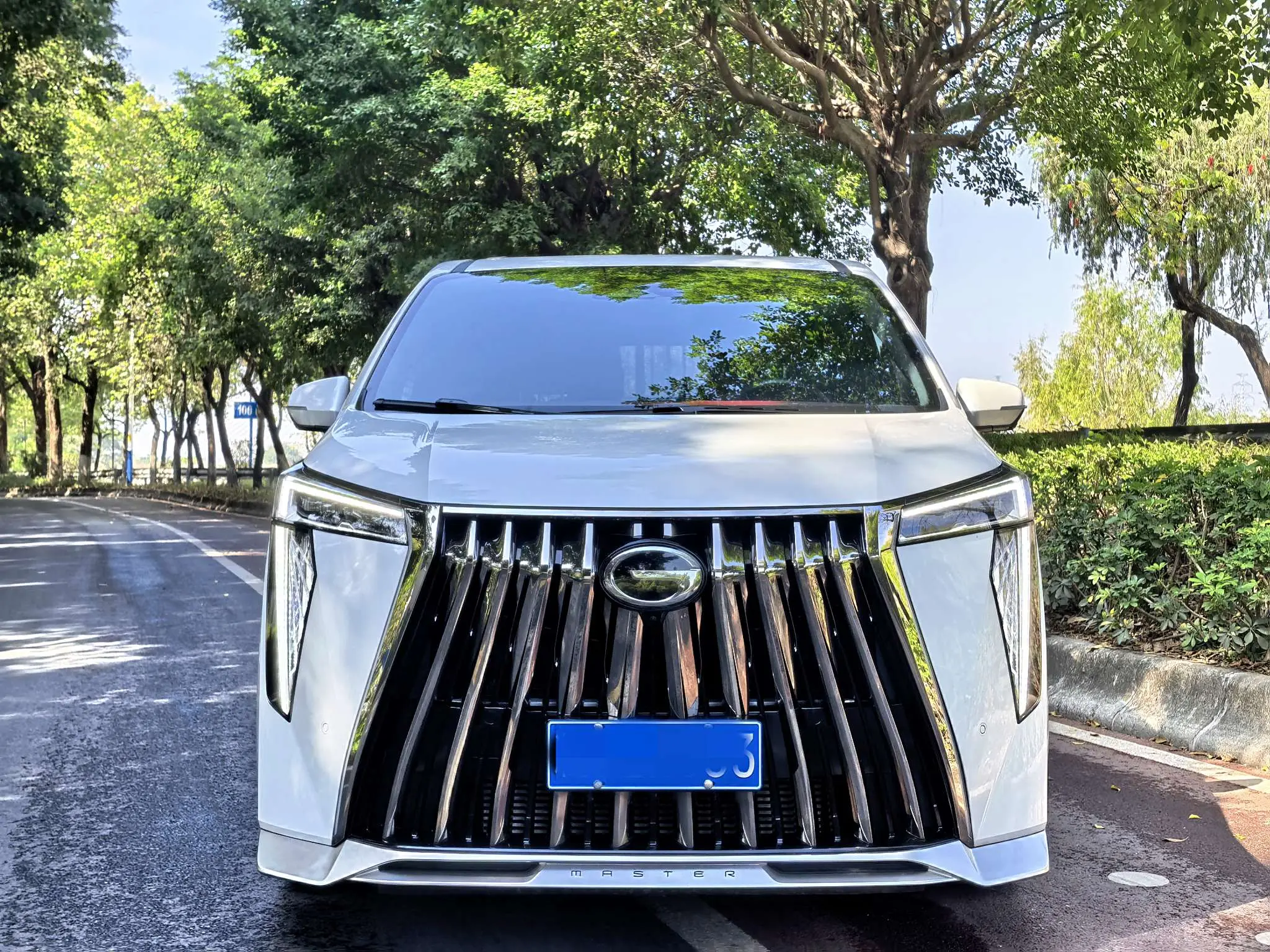 GAC Trumpchi M8  из Китая