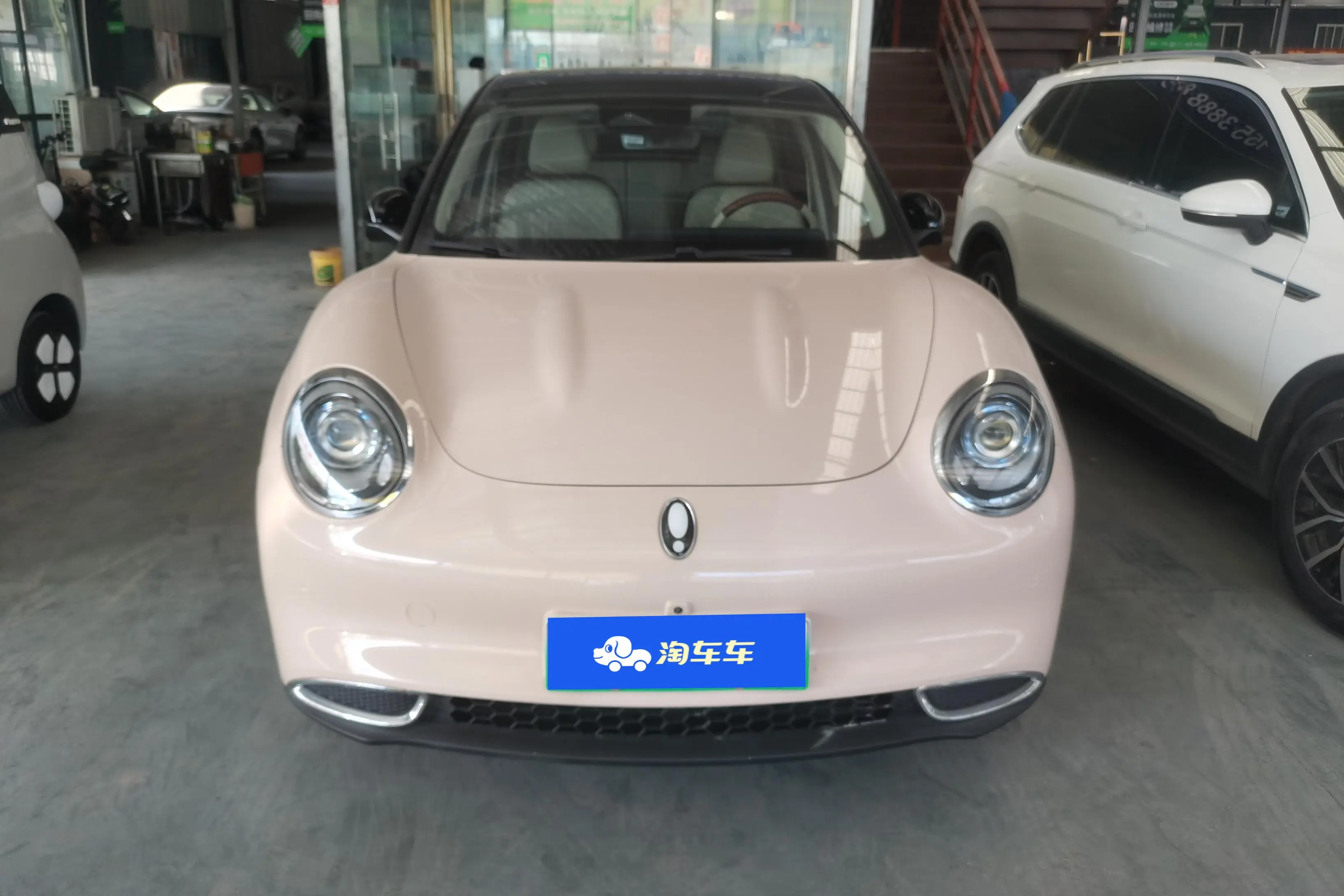 ORA Euler good cat  из Китая