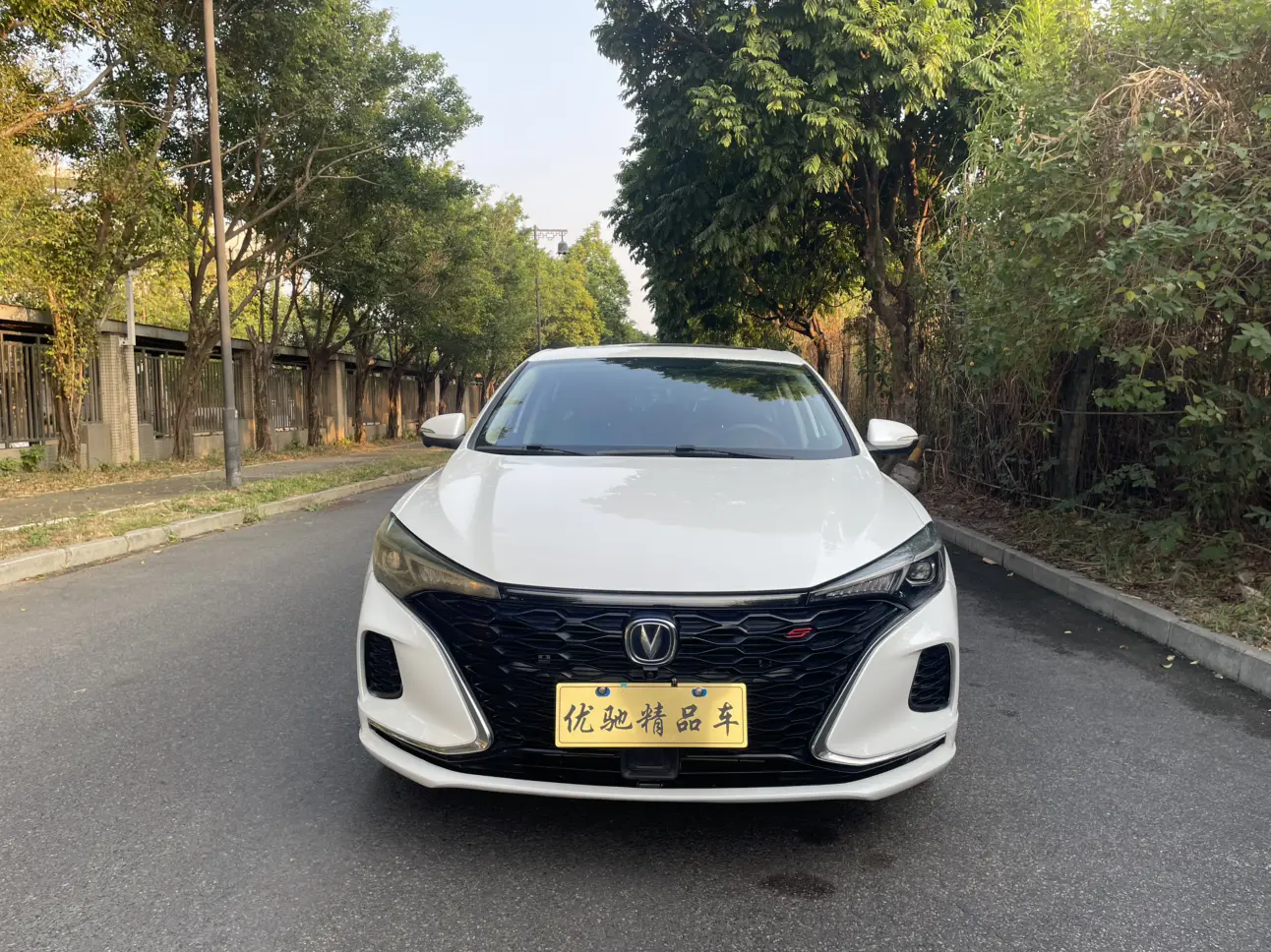 Changan Escape  из Китая