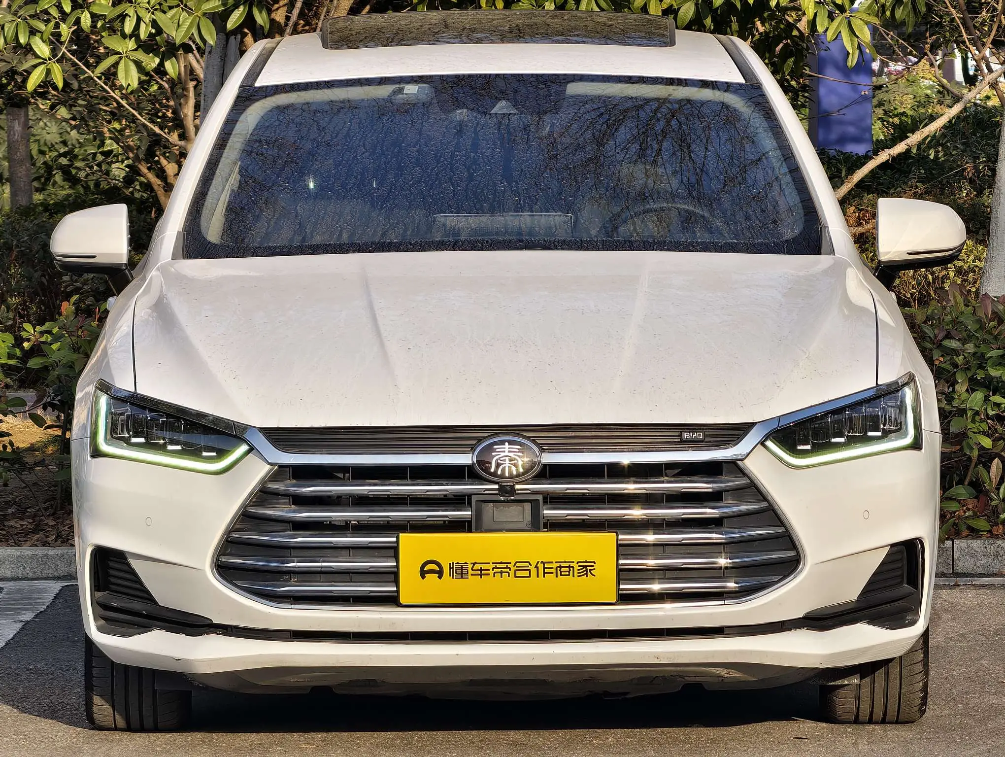 BYD Qin Pro  из Китая