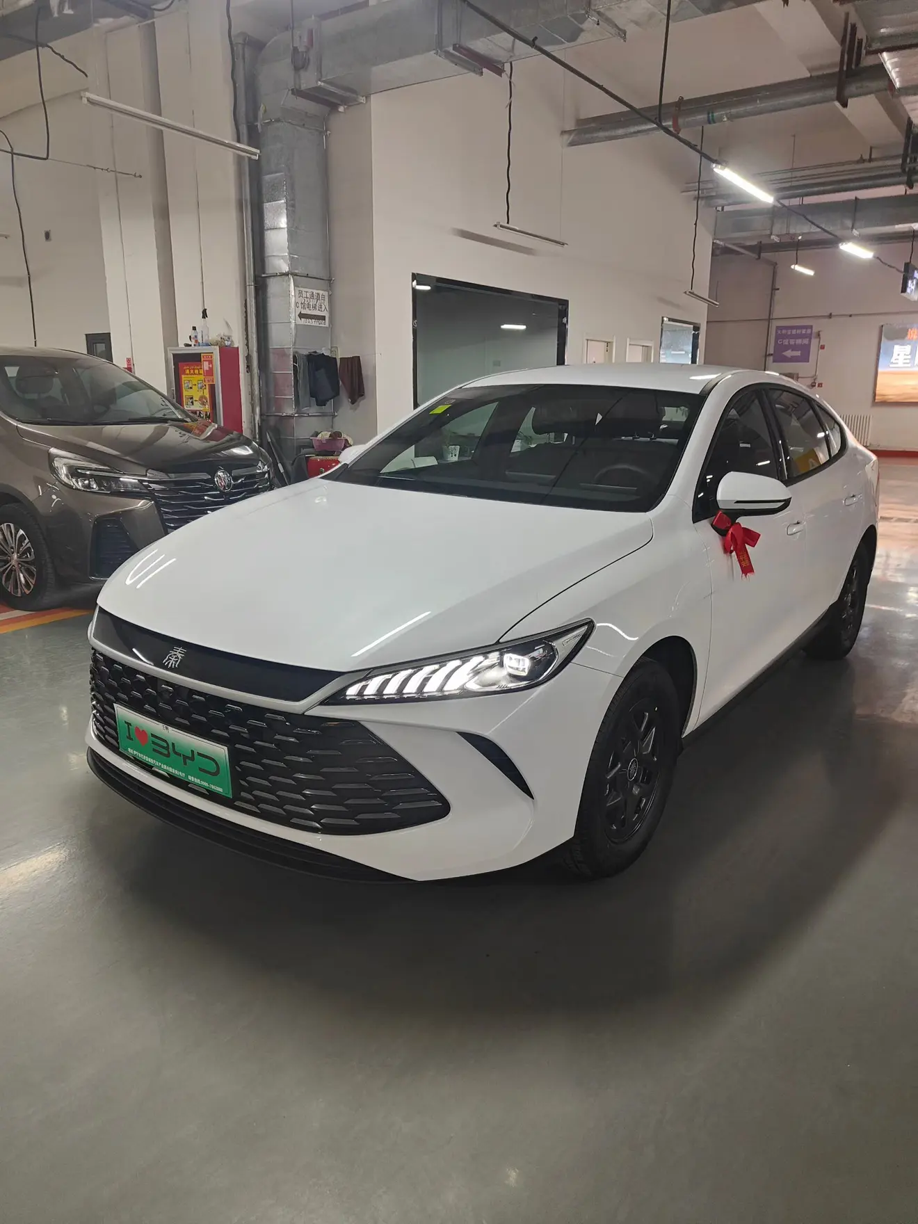 BYD Qin PLUS DM