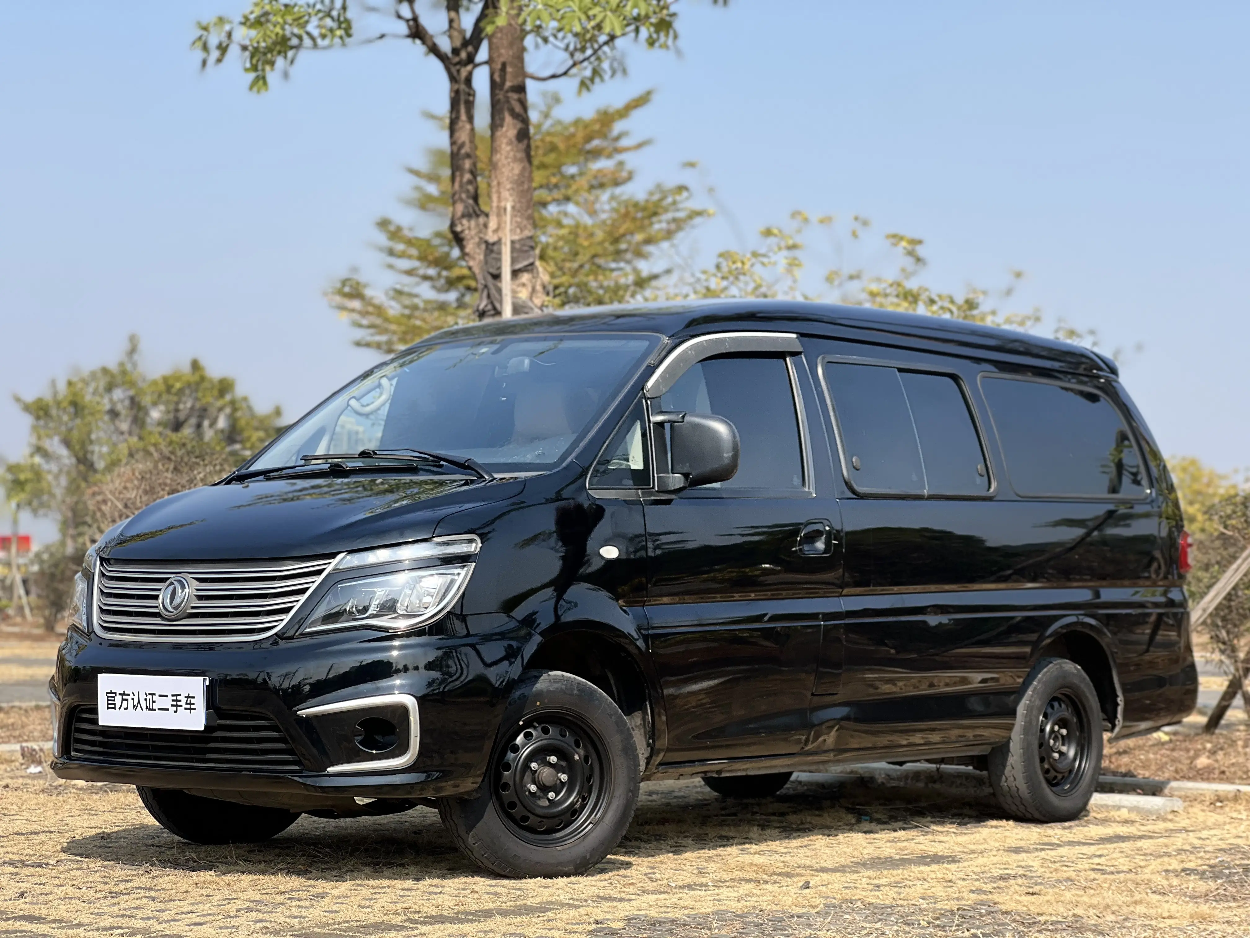 Forthing Lingzhi  из Китая