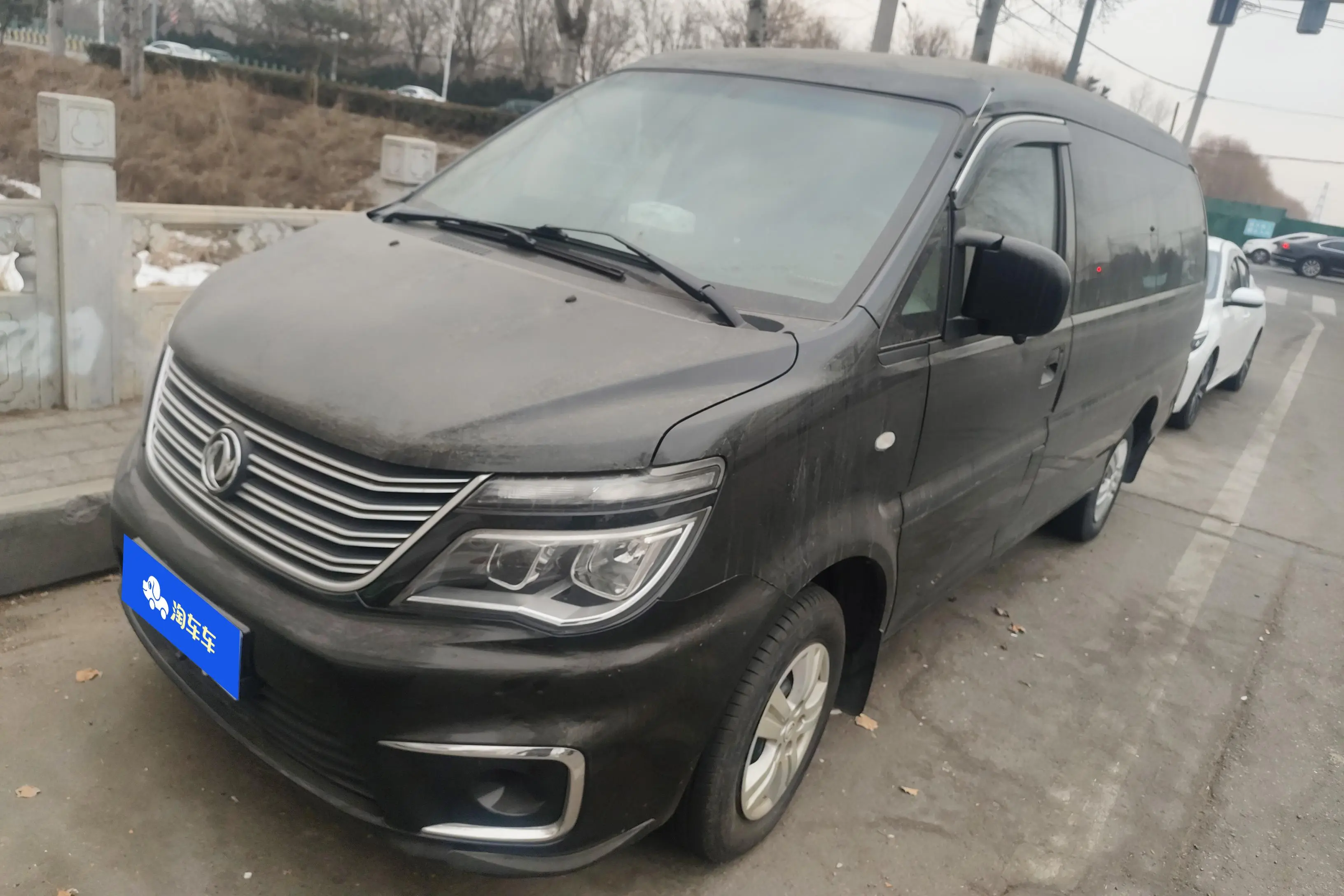 Forthing Lingzhi  из Китая