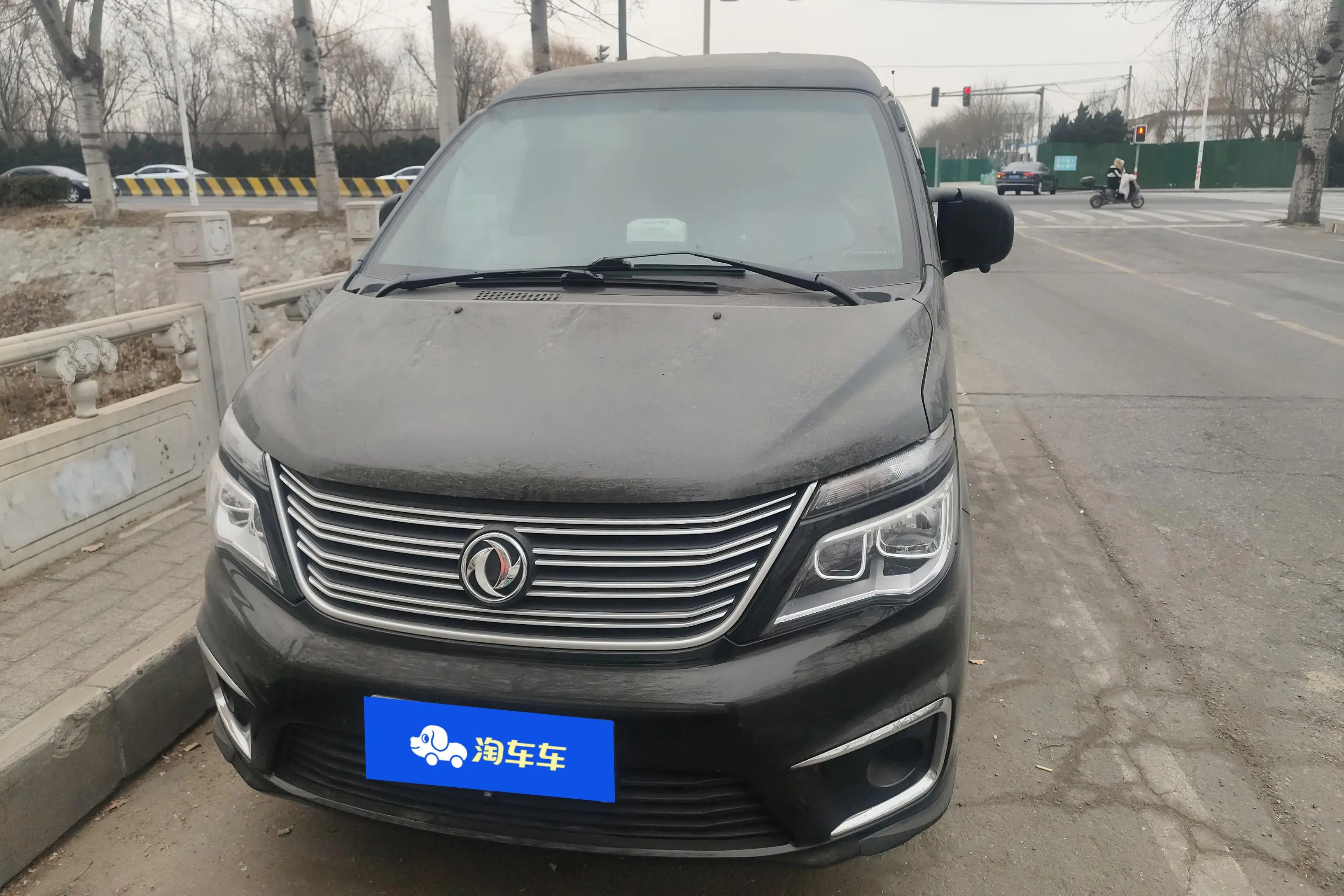 Forthing Lingzhi  из Китая