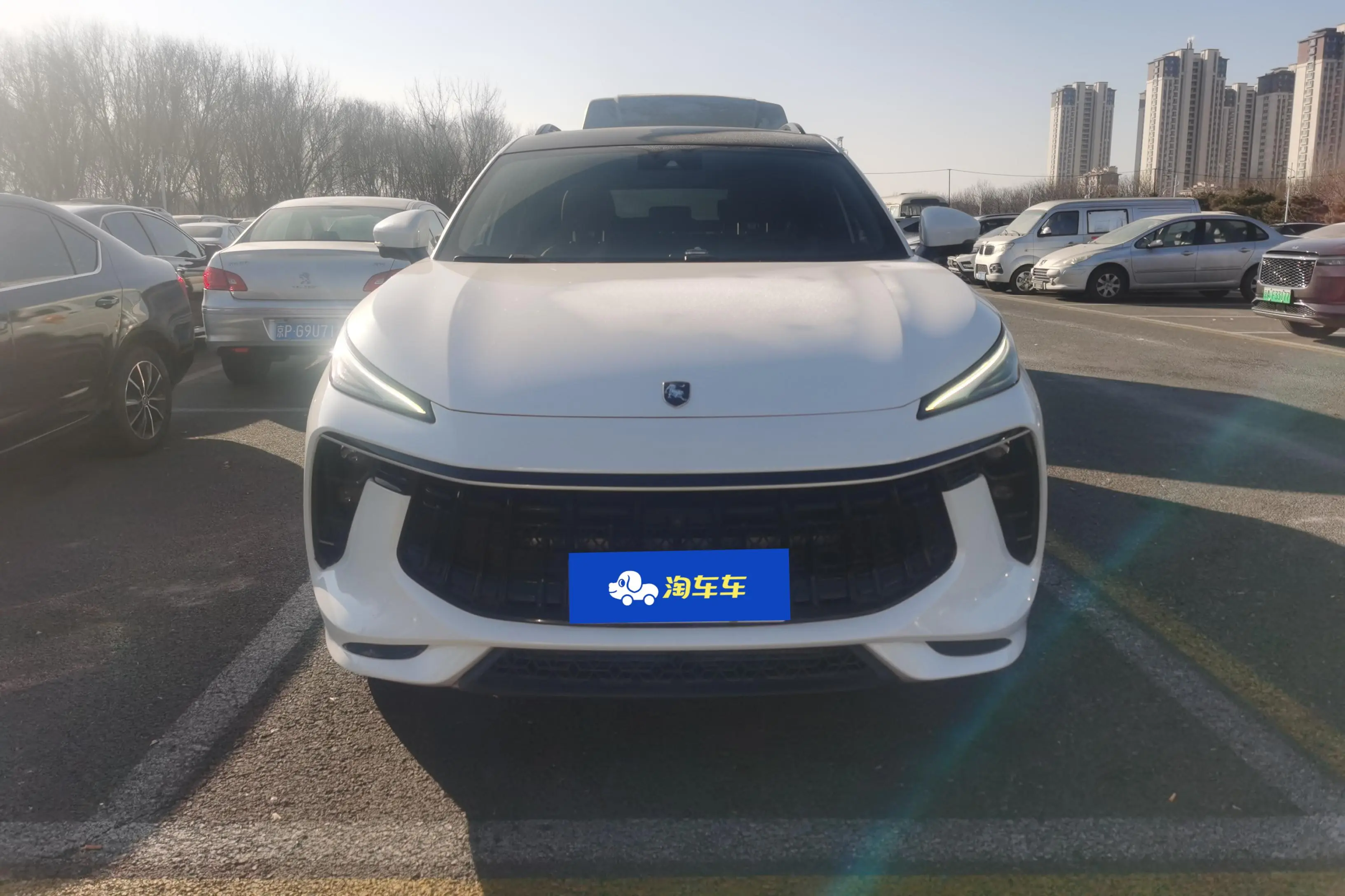 Forthing Fengxing T5 EVO  из Китая