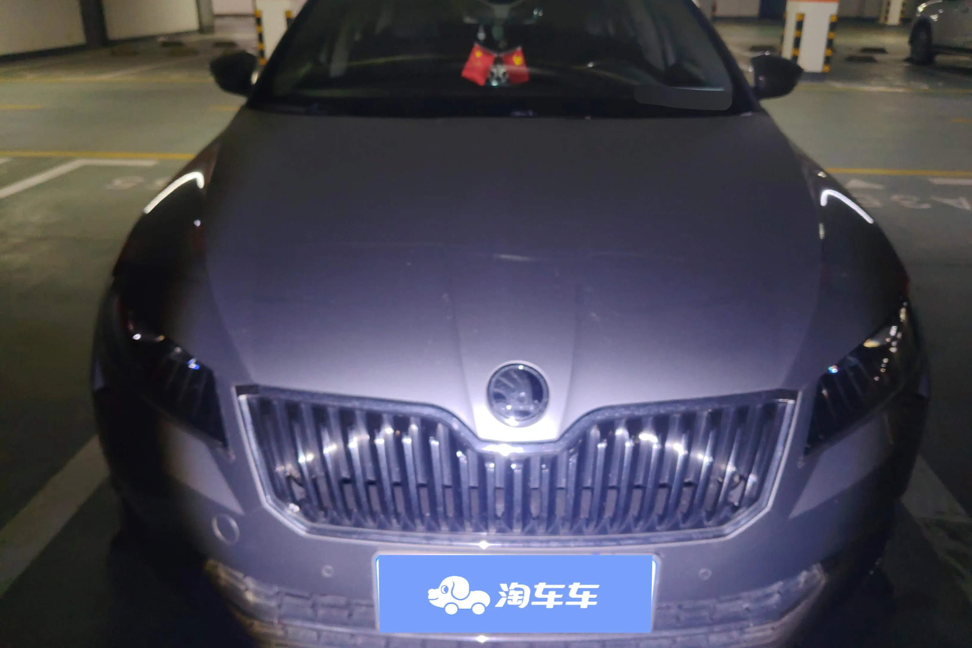 Skoda Speedy  из Китая