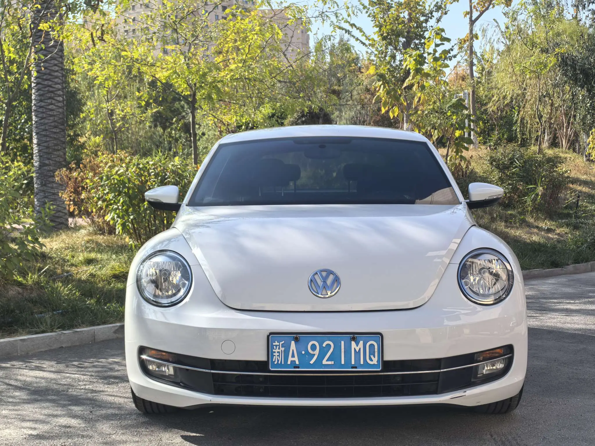 Volkswagen Beetle  из Китая
