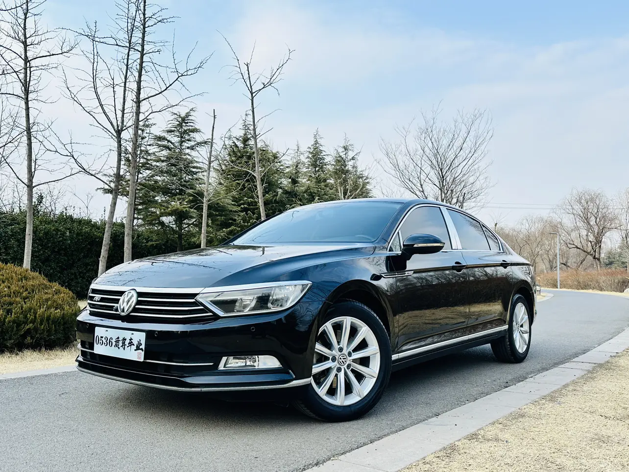 Volkswagen Magotan  из Китая