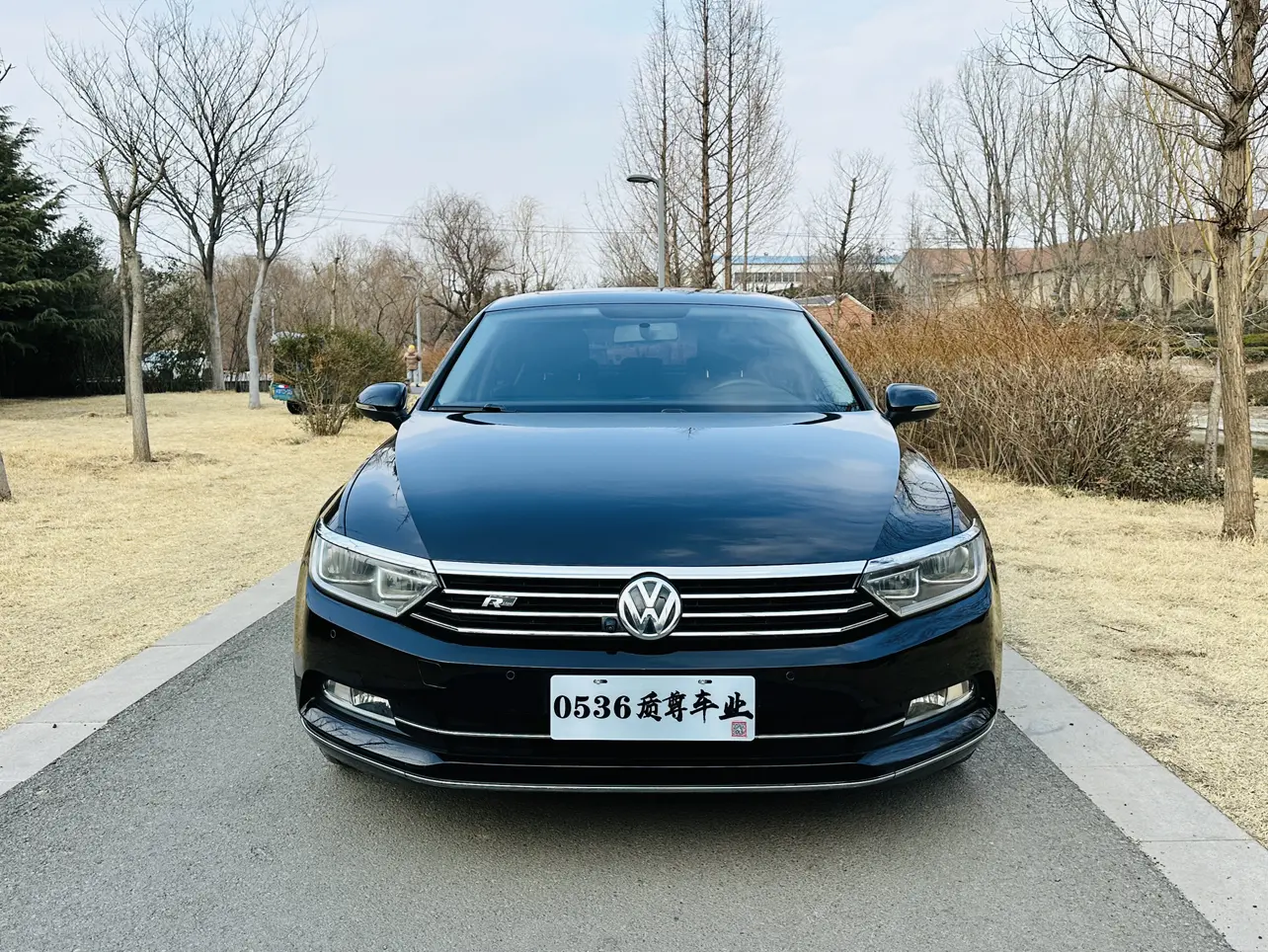 Volkswagen Magotan  из Китая