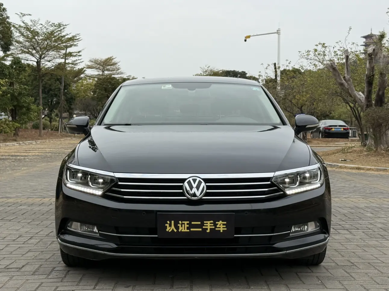 Volkswagen Magotan  из Китая