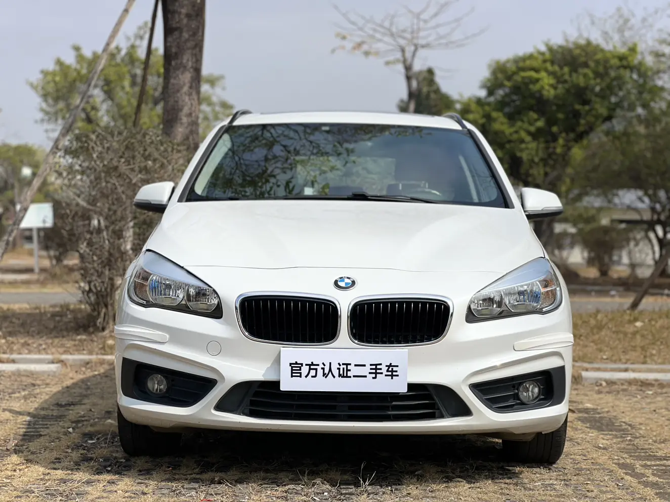 BMW 2 Series Active Tourer  из Китая