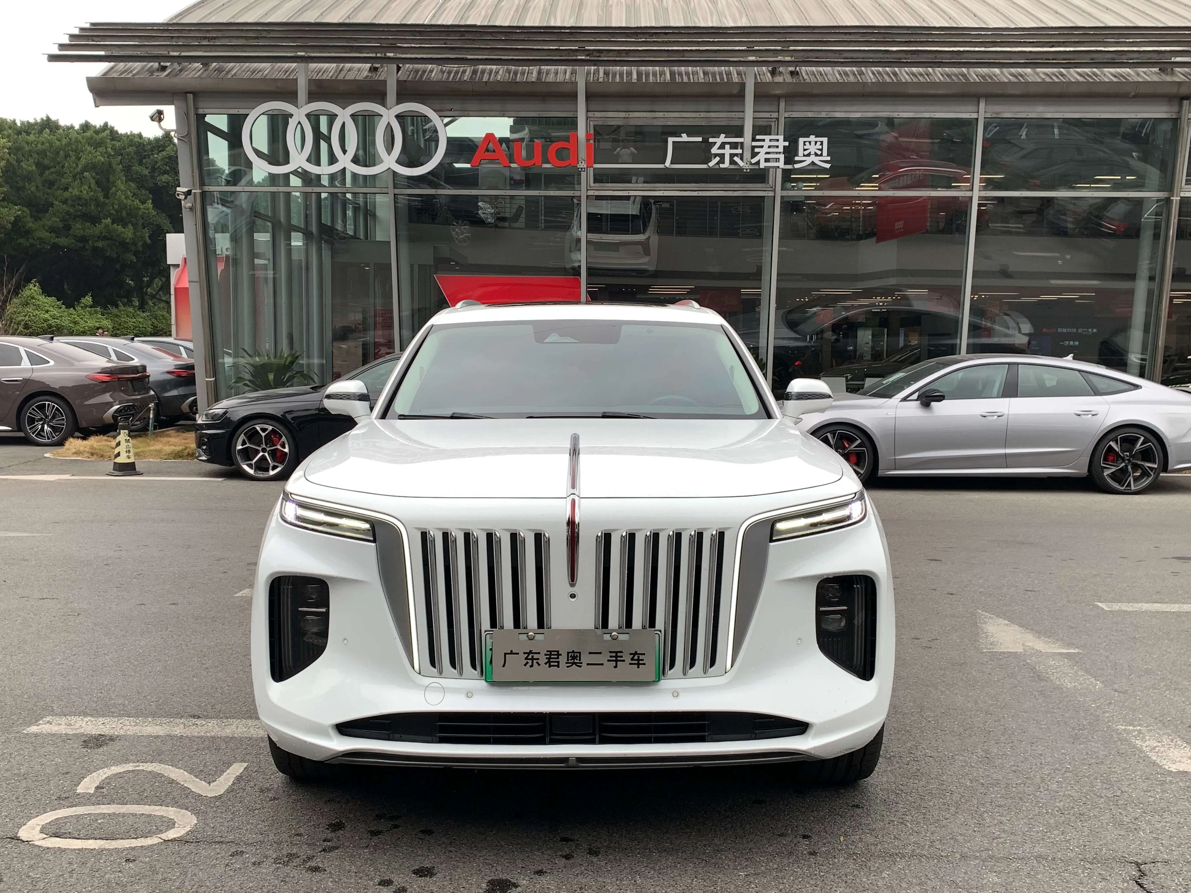 Hongqi E-HS9  из Китая