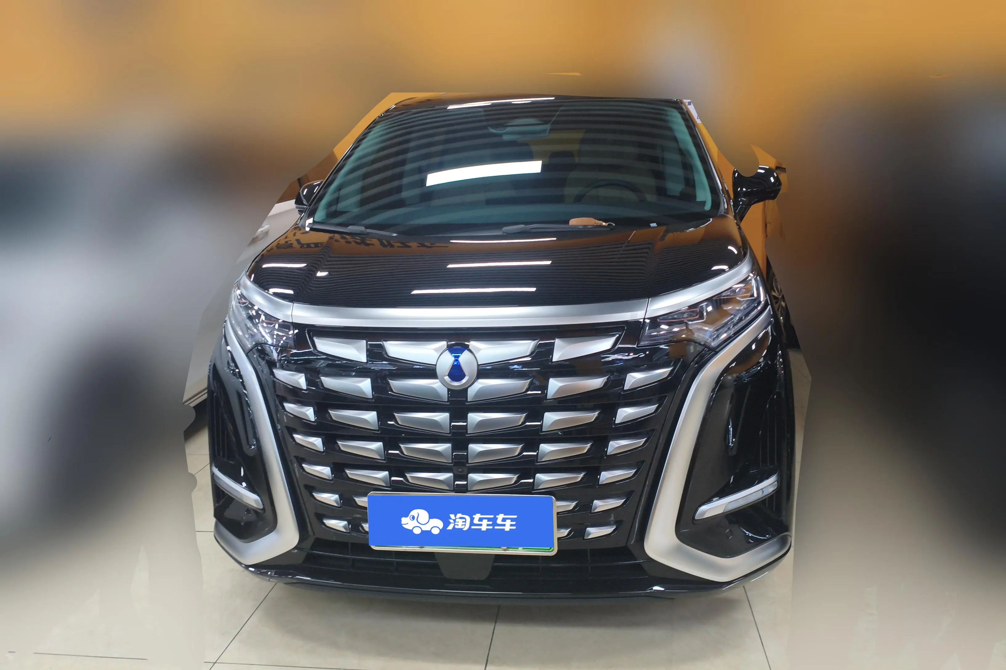 Denza D9 DM  из Китая