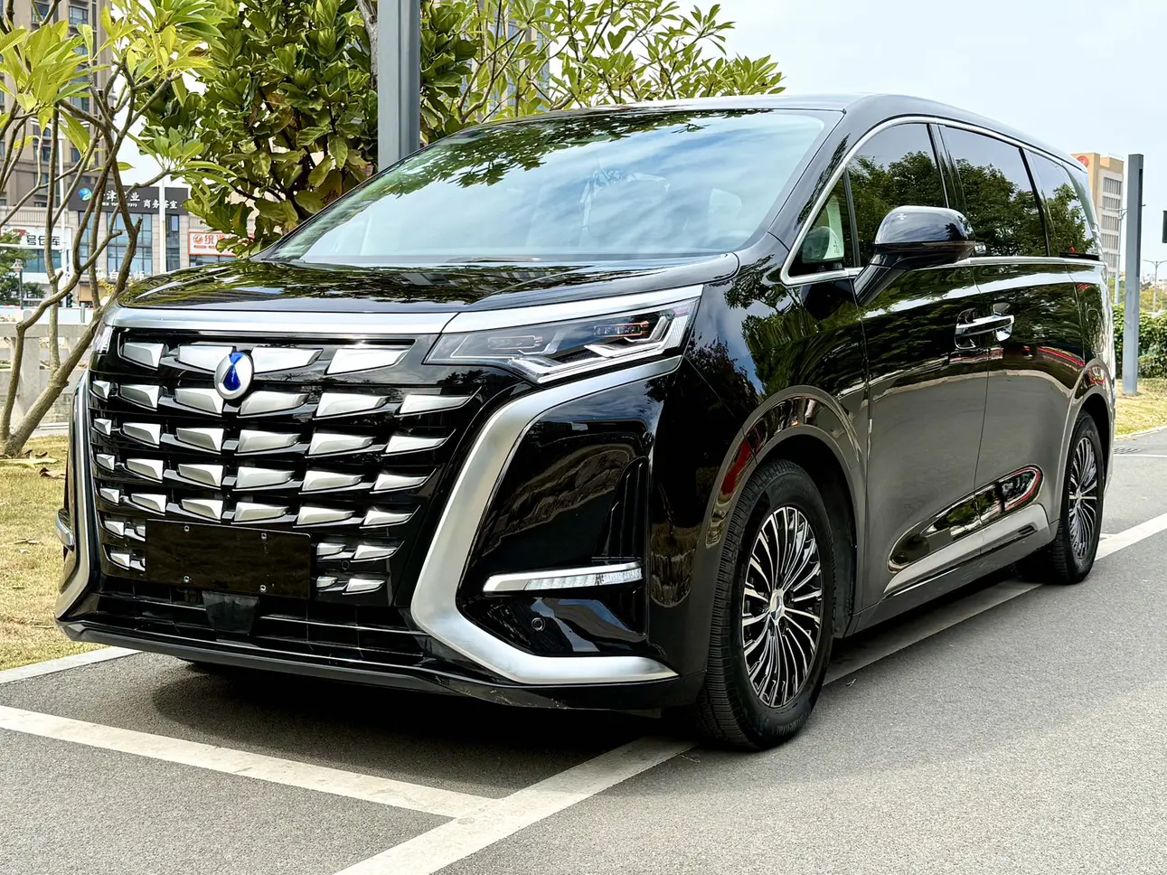 Denza D9 DM  из Китая