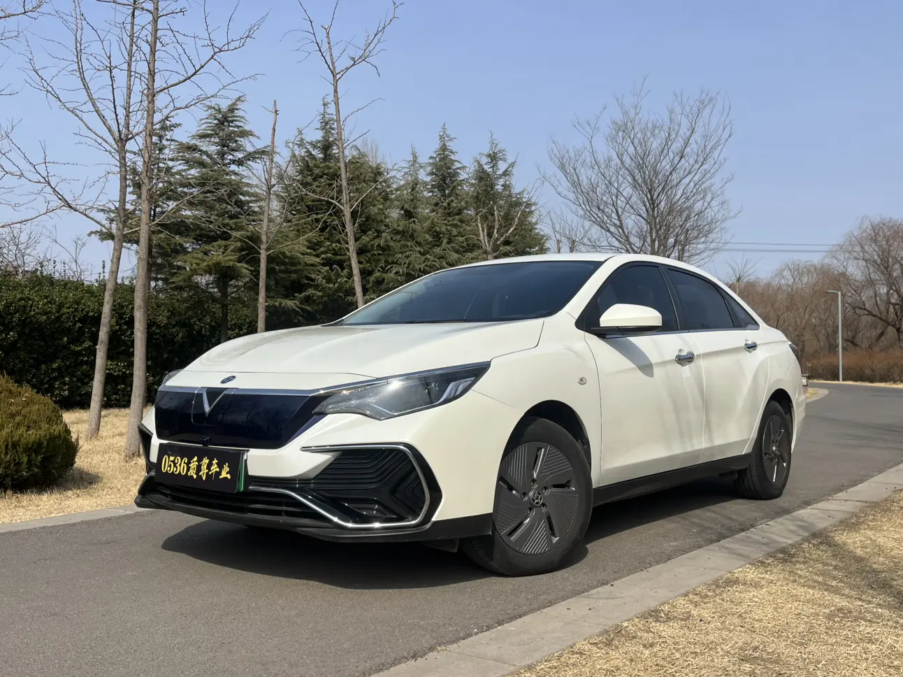 Kai Chen Venucia D60 EV