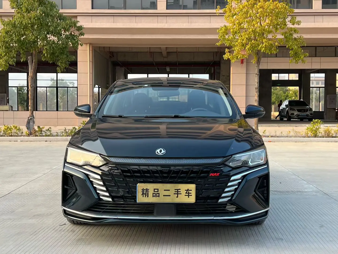 Dongfeng Yixuan MAX  из Китая