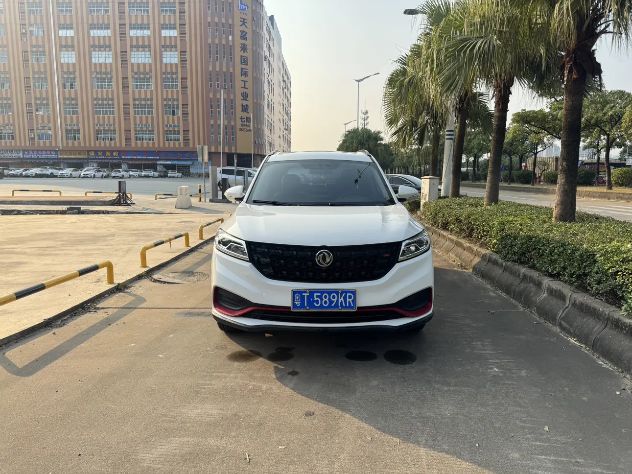 Dongfeng Fengon 580  из Китая