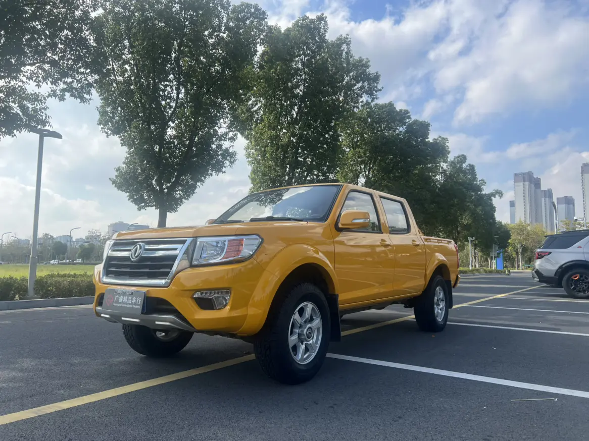 Dongfeng Ruiqi  из Китая