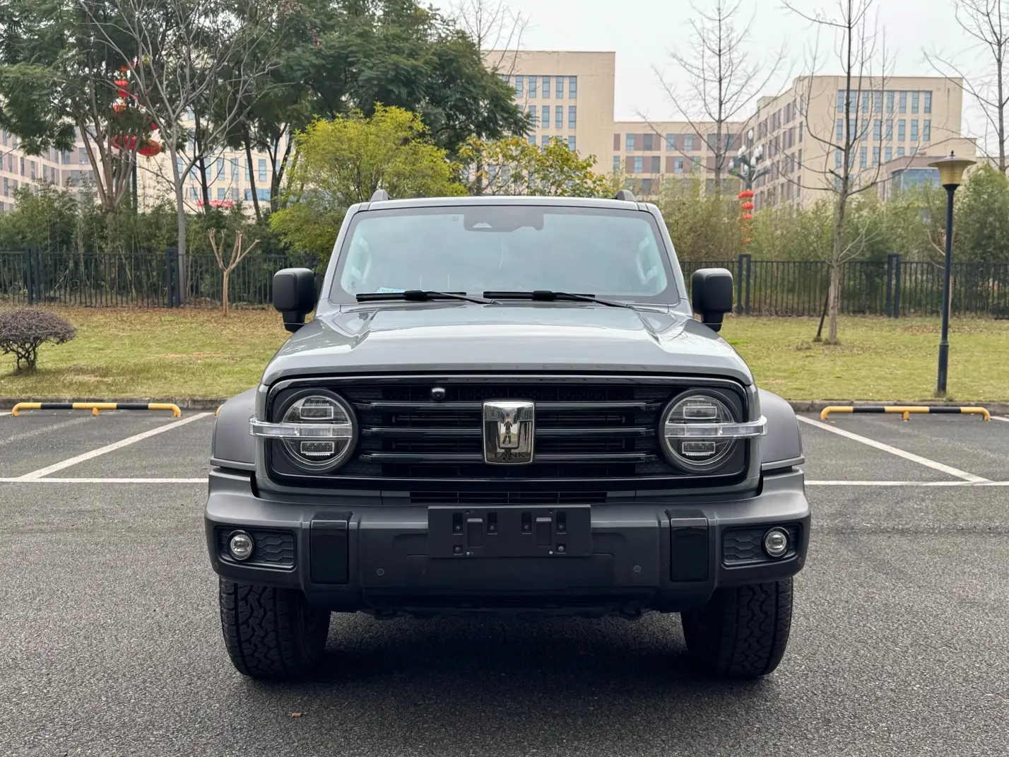 Tank 300  из Китая