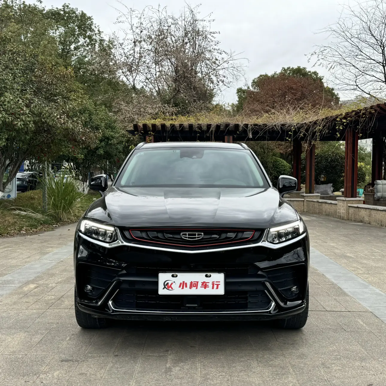 Geely Tugella (Xingyue)  из Китая