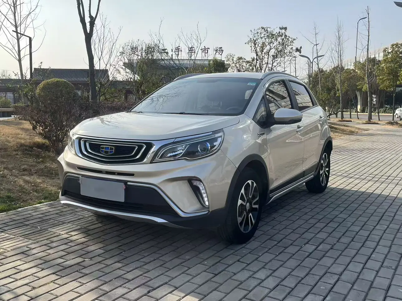 Geely Vision X3  из Китая