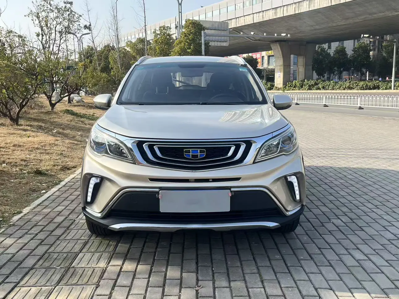 Geely Vision X3  из Китая