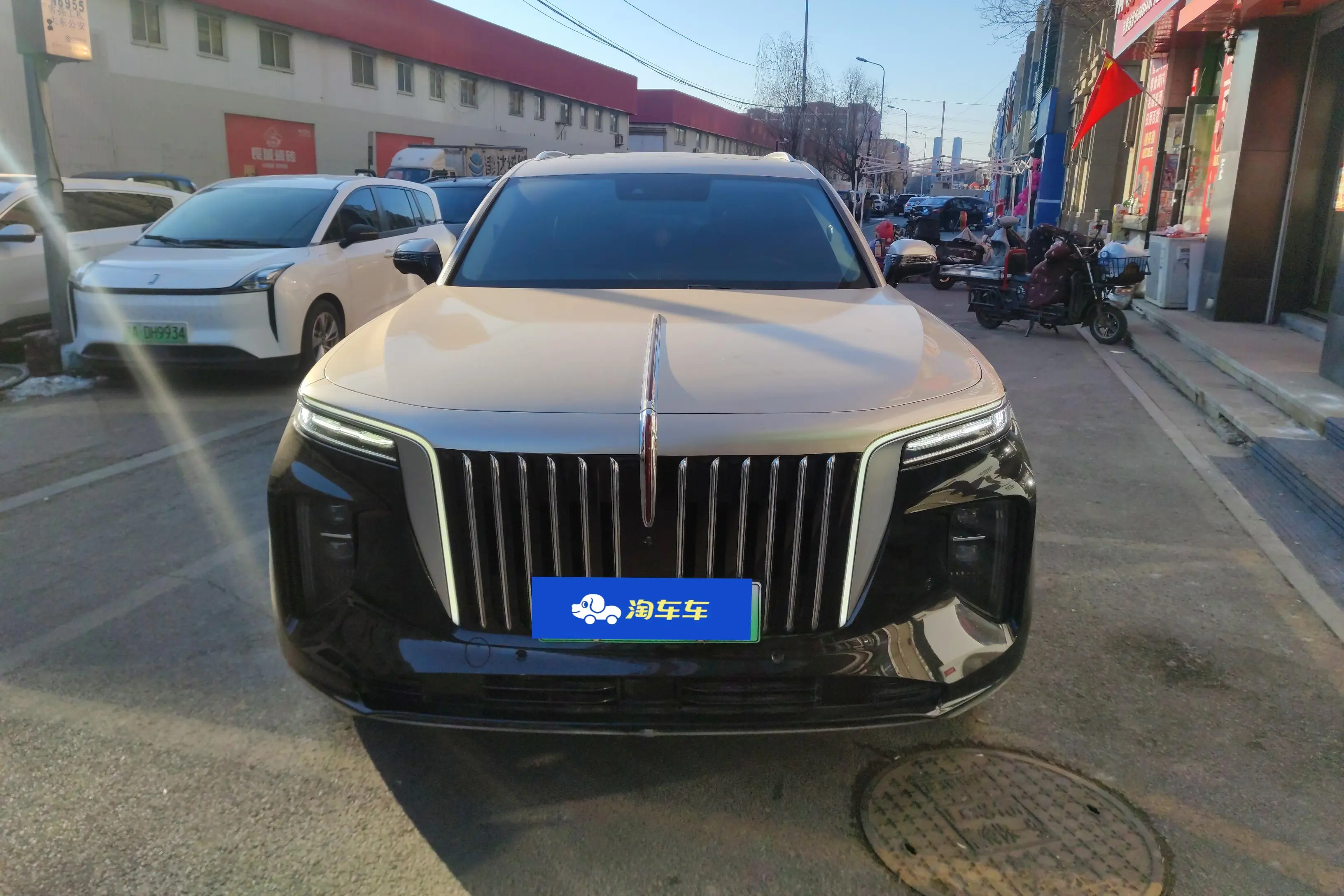 Hongqi E-HS9  из Китая