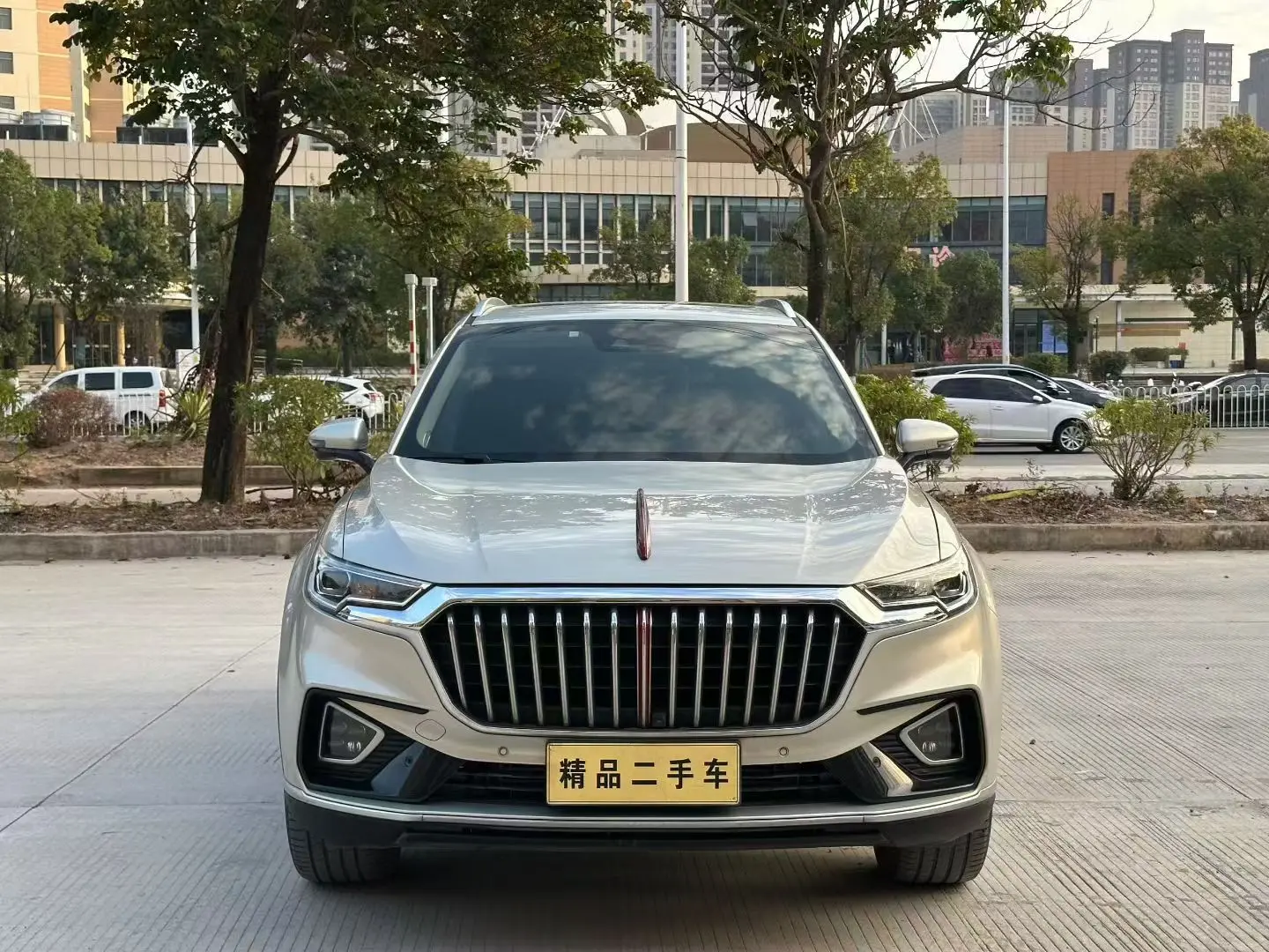 Hongqi HS5  из Китая