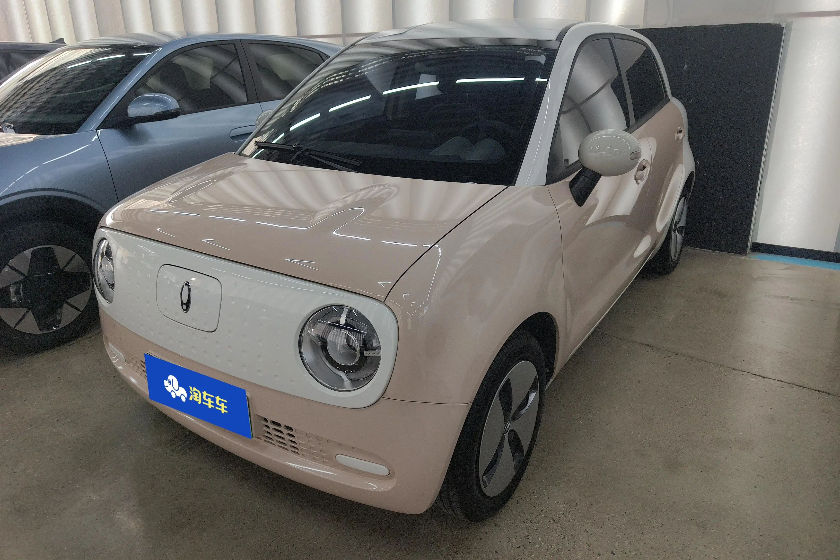 ORA Euler black cat  из Китая