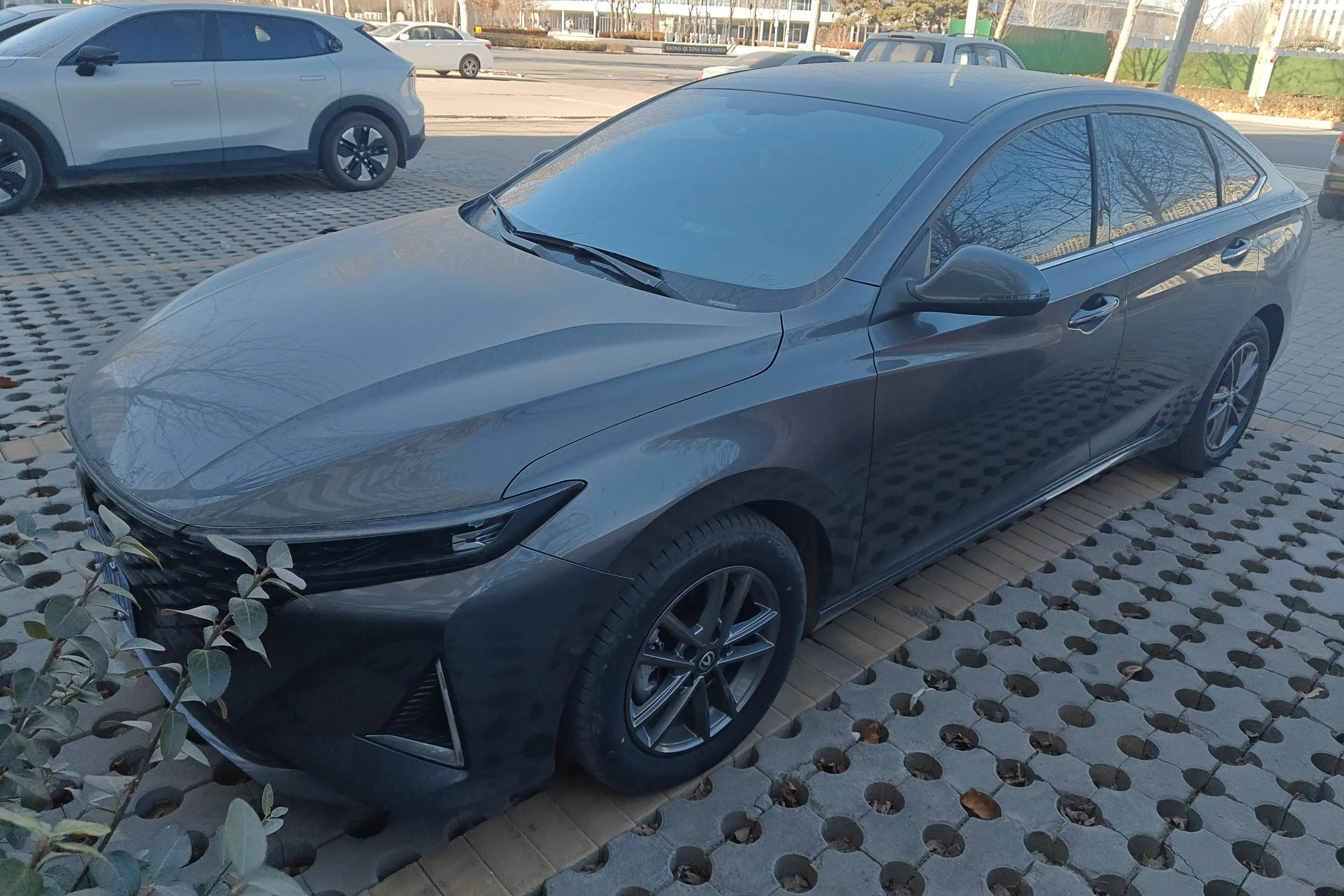 Changan Ruicheng PLUS  из Китая