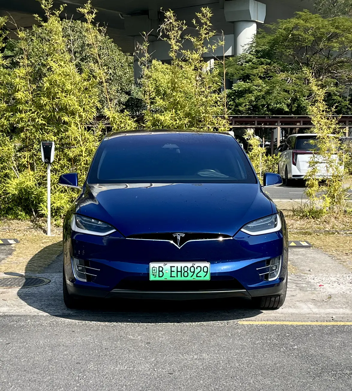 Tesla Model X  из Китая