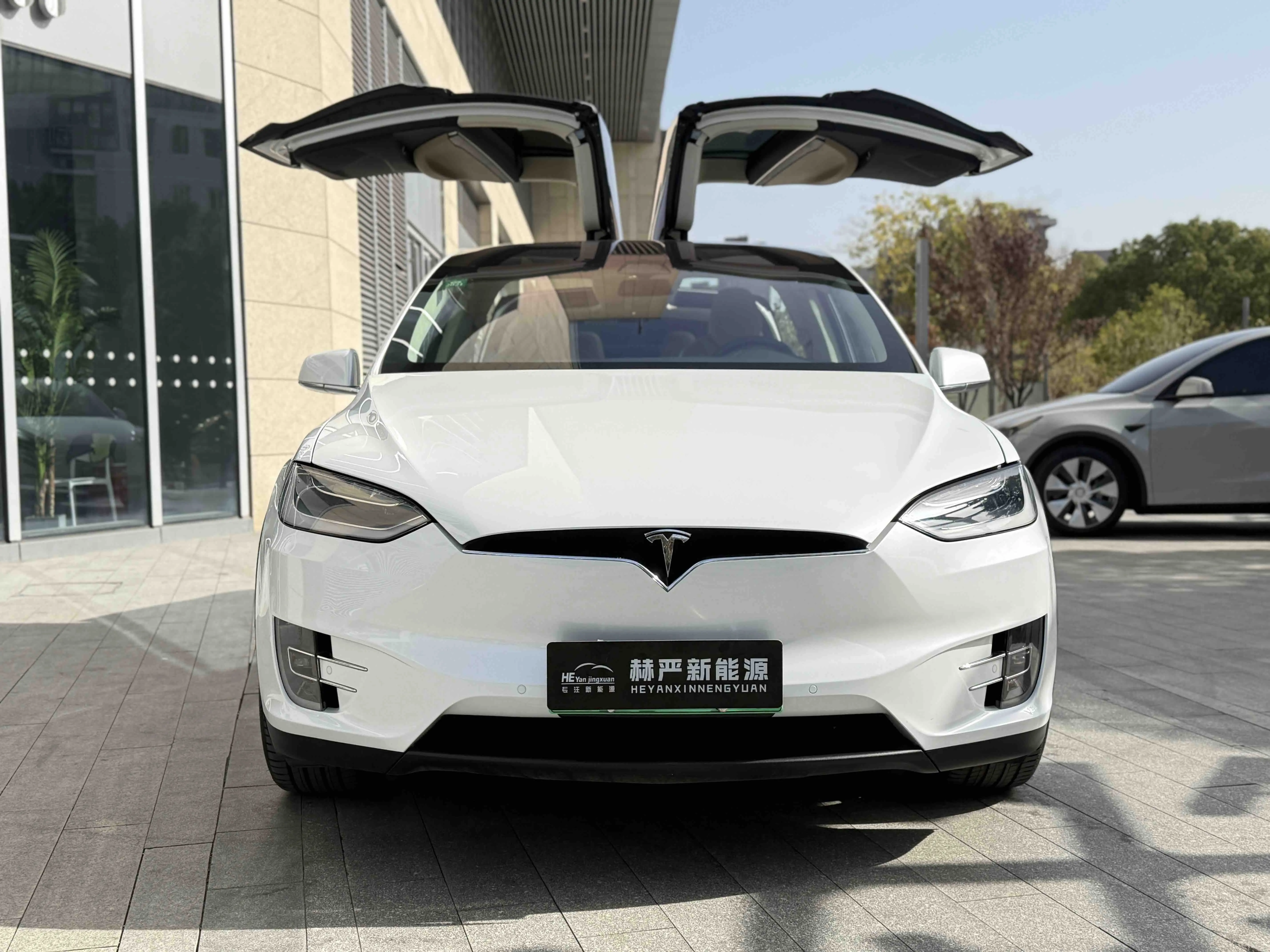 Tesla Model X  из Китая