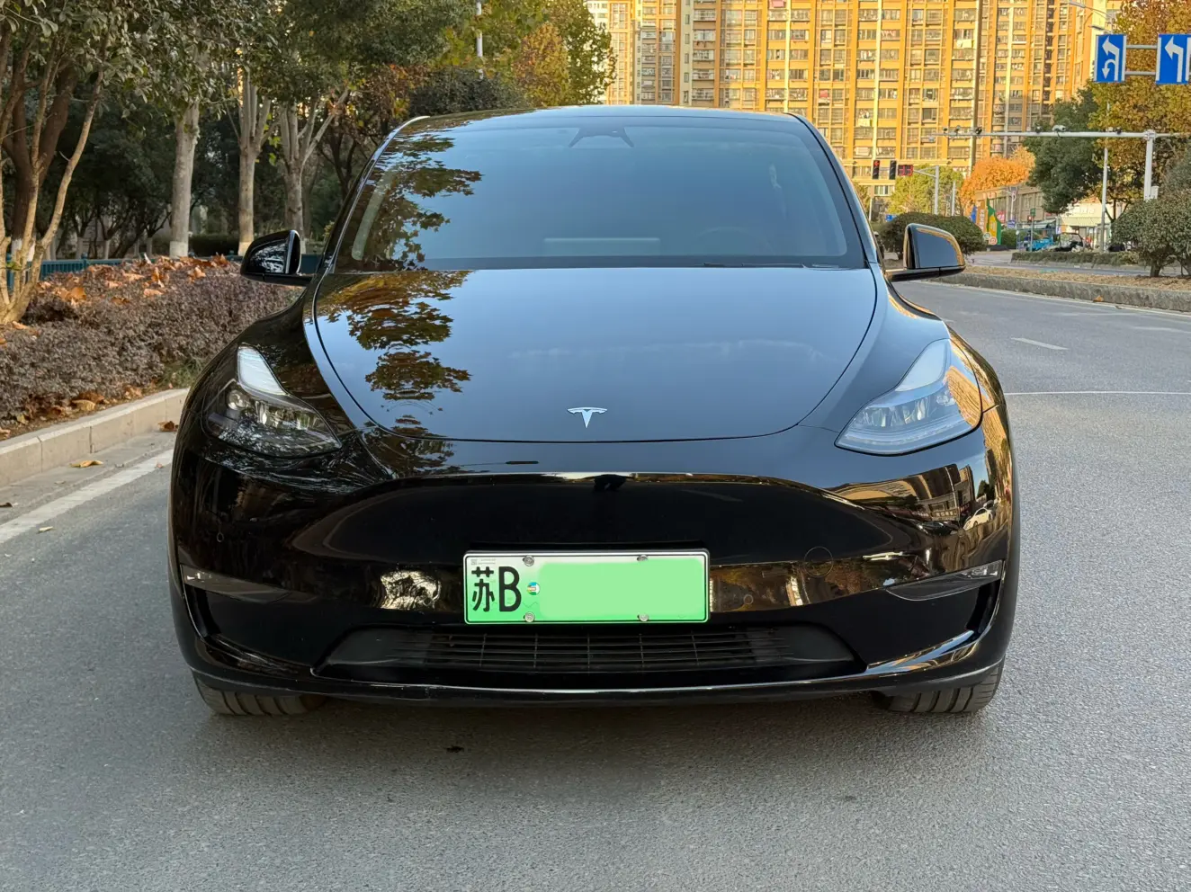 Tesla Model Y  из Китая