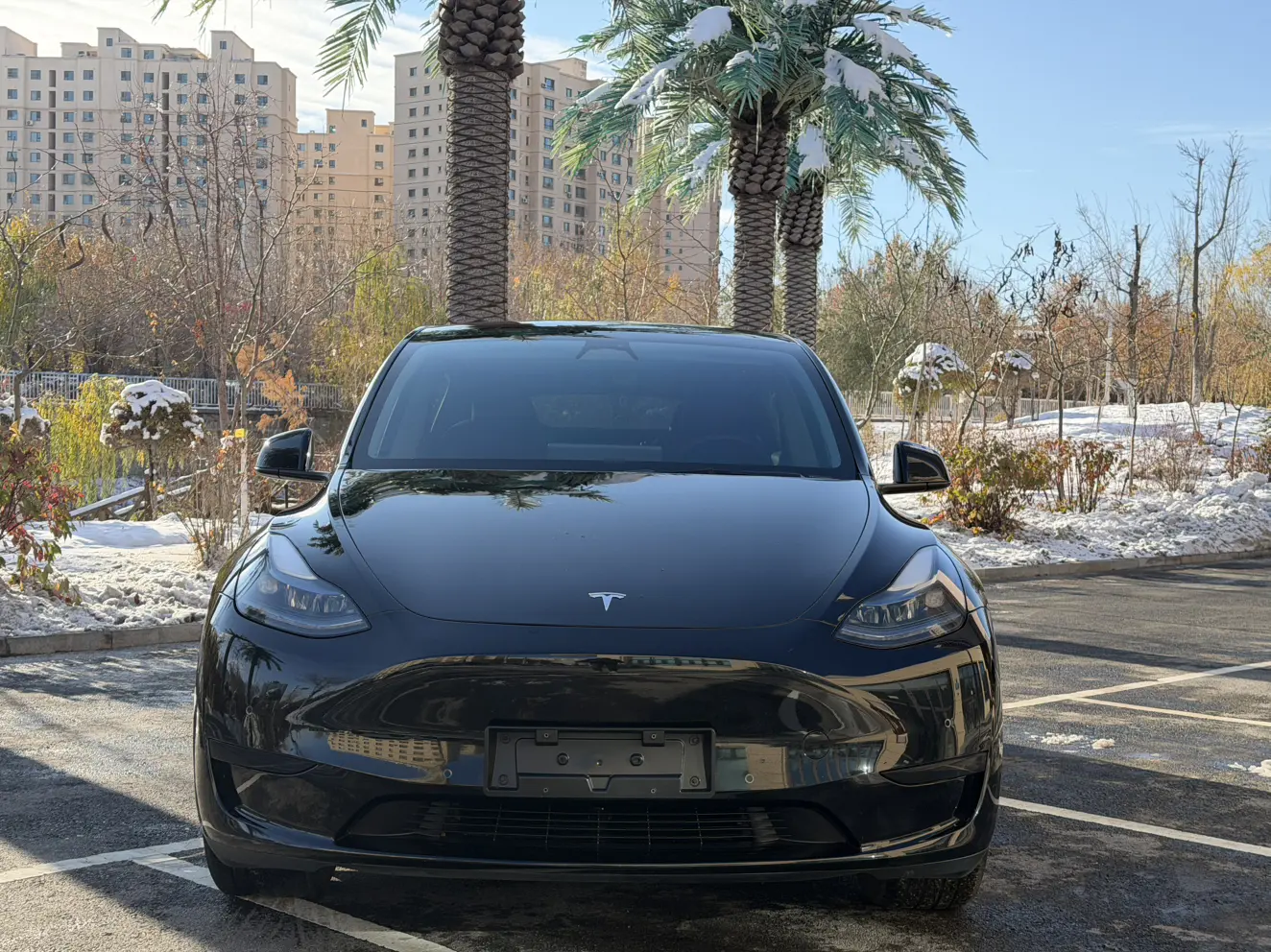Tesla Model Y  из Китая
