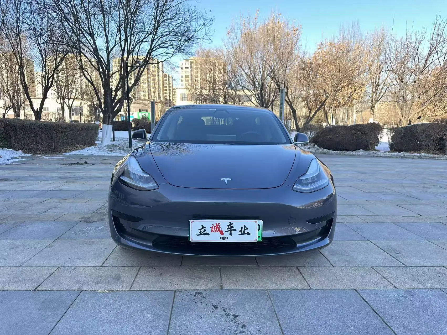 Tesla Model 3  из Китая