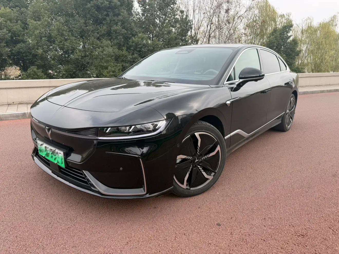 Voyah Passion EV  из Китая