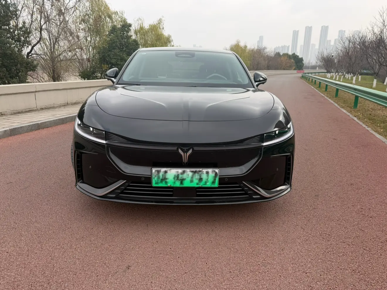 Voyah Passion EV  из Китая