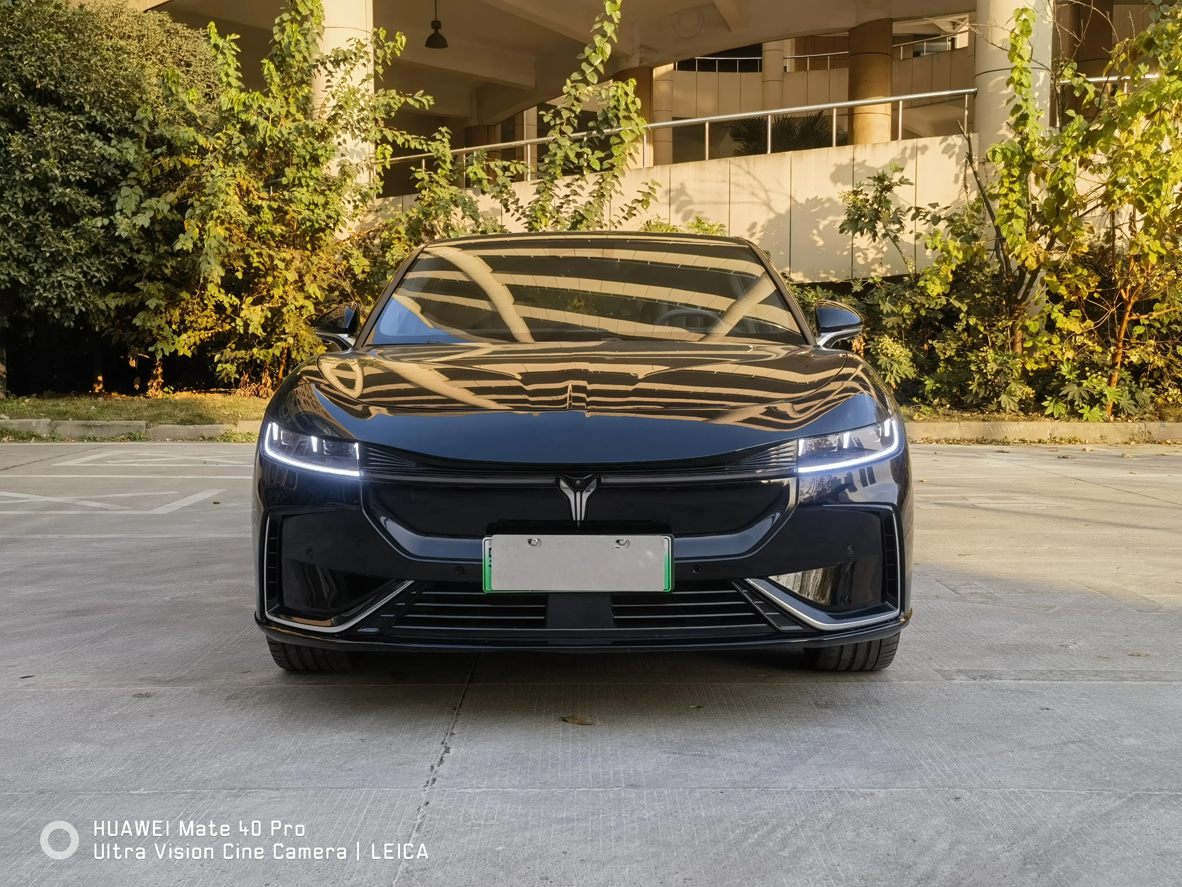 Voyah Passion EV  из Китая