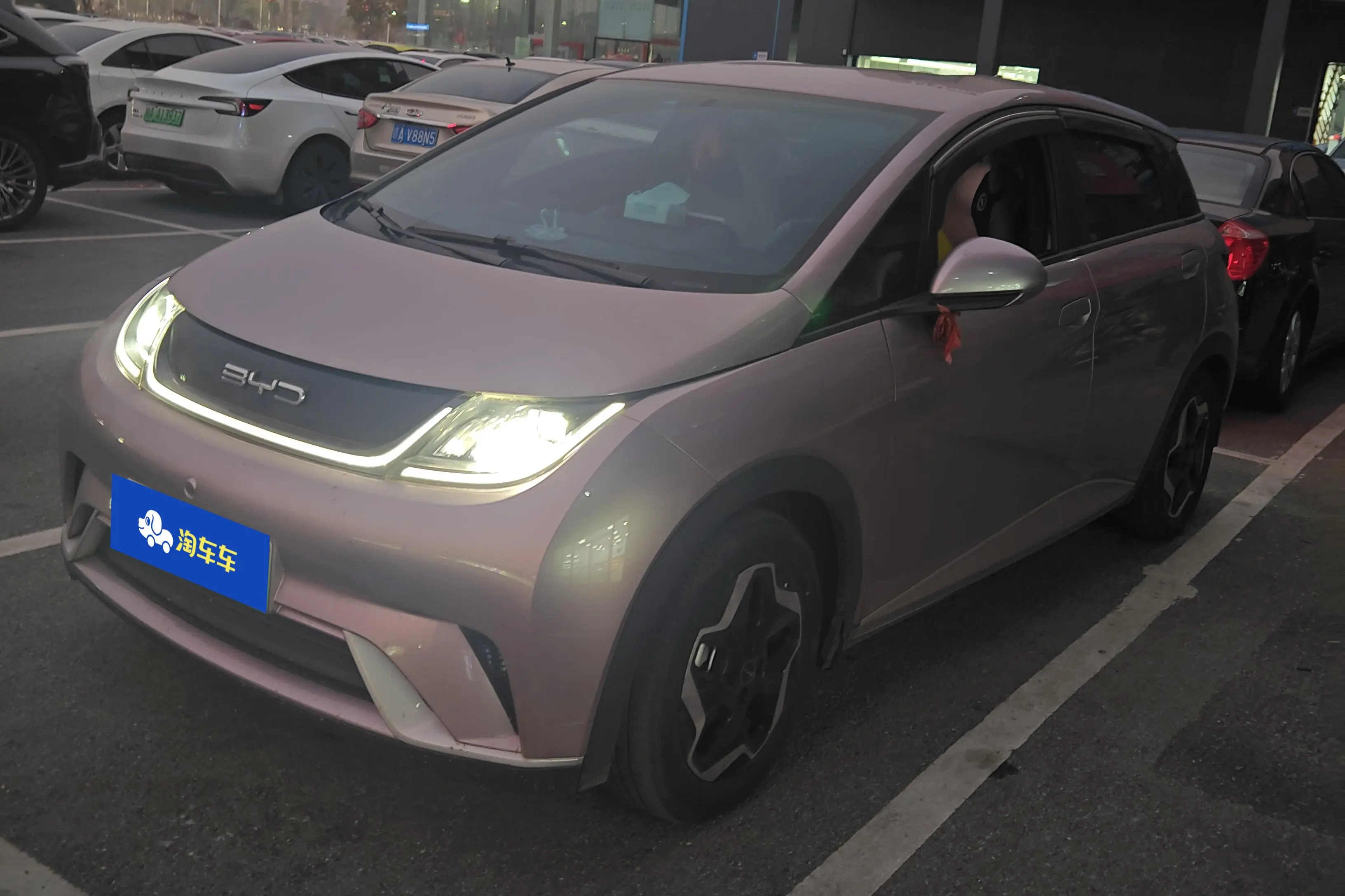 BYD Dolphin  из Китая