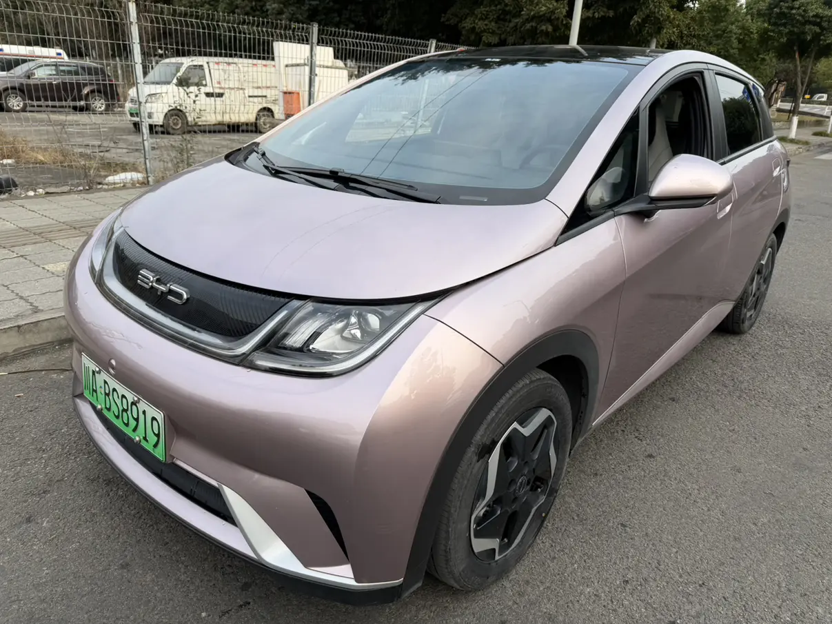 BYD Dolphin  из Китая