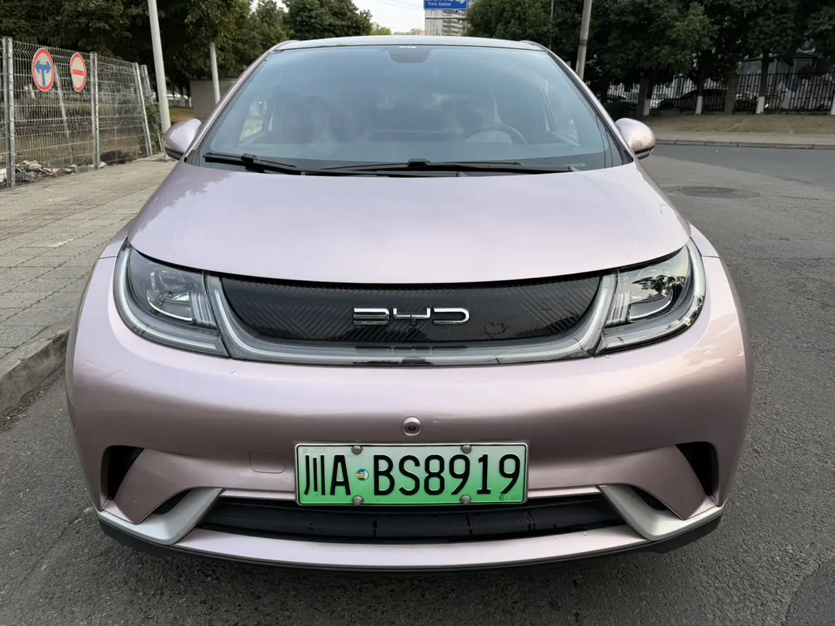 BYD Dolphin  из Китая
