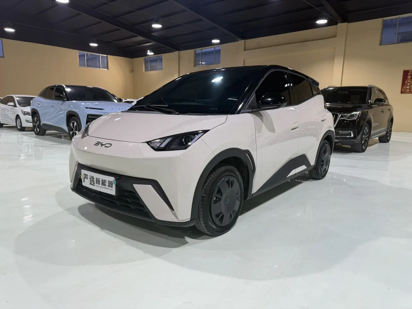 BYD Seagull  из Китая