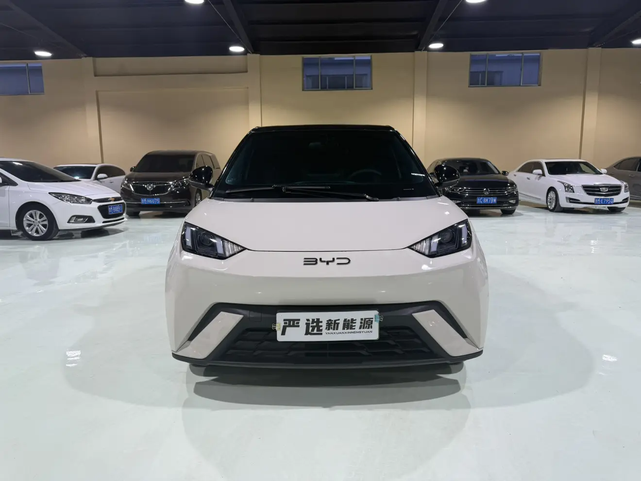 BYD Seagull  из Китая