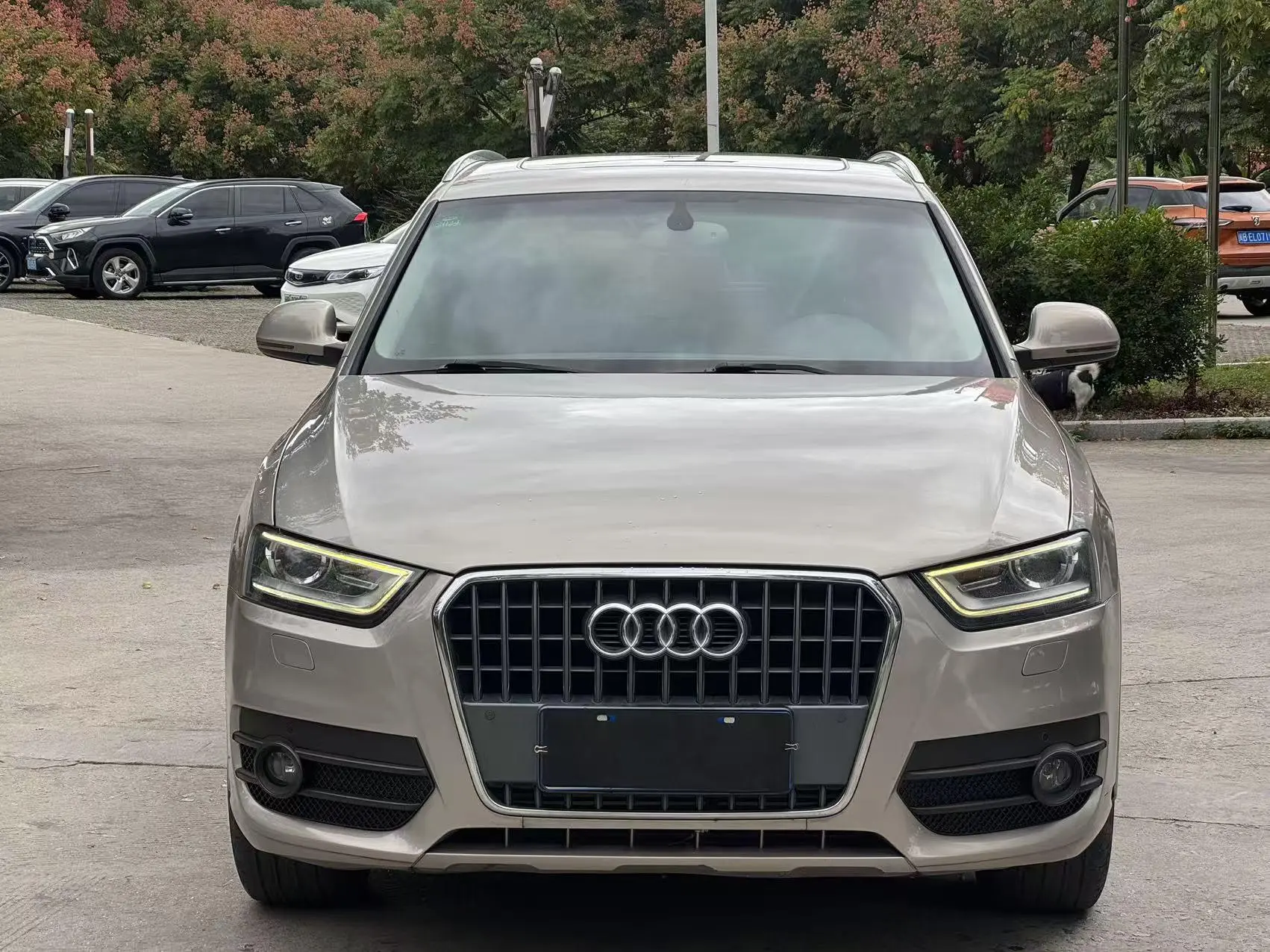 Audi Q3  из Китая