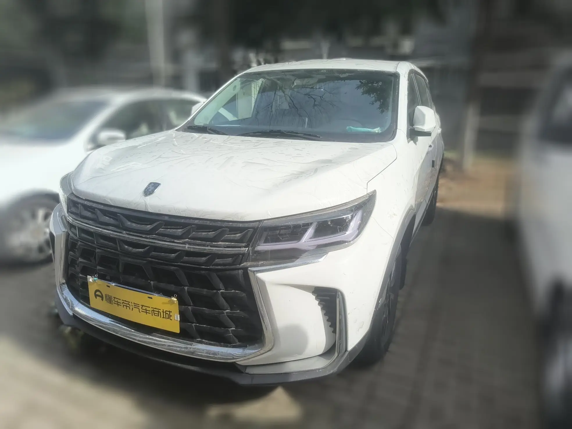 Forthing Fengxing T5  из Китая