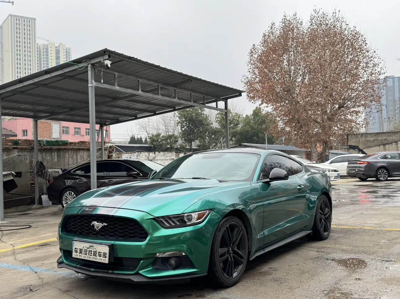 Ford Mustang