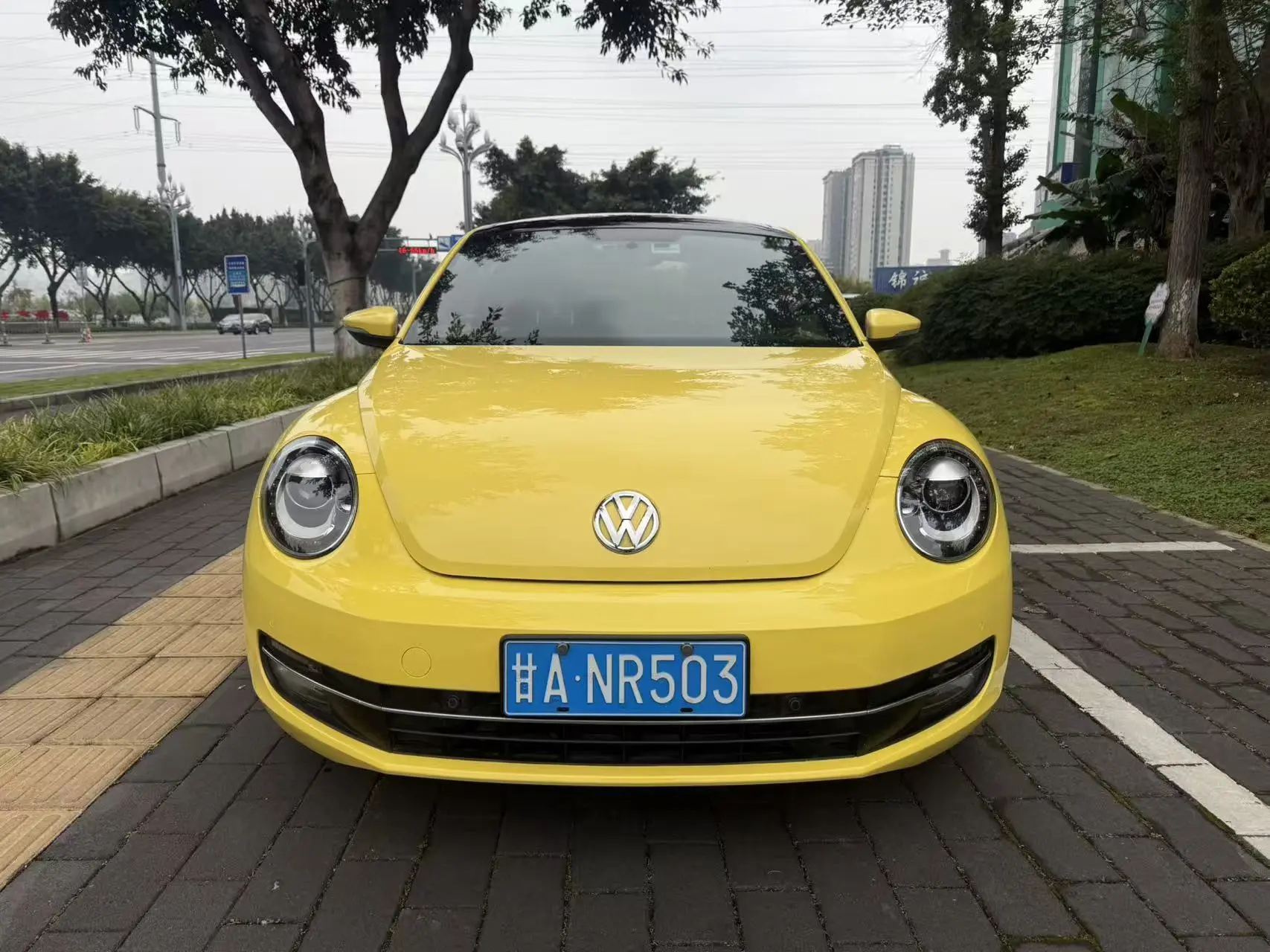 Volkswagen Beetle  из Китая