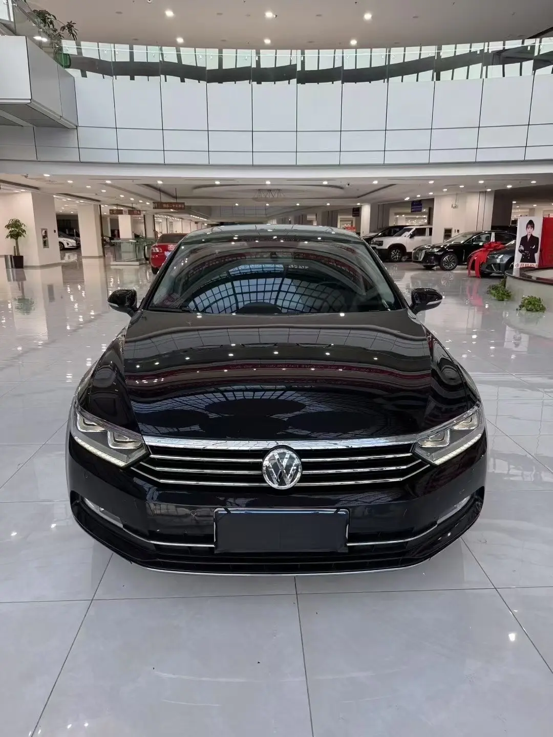 Volkswagen Magotan  из Китая